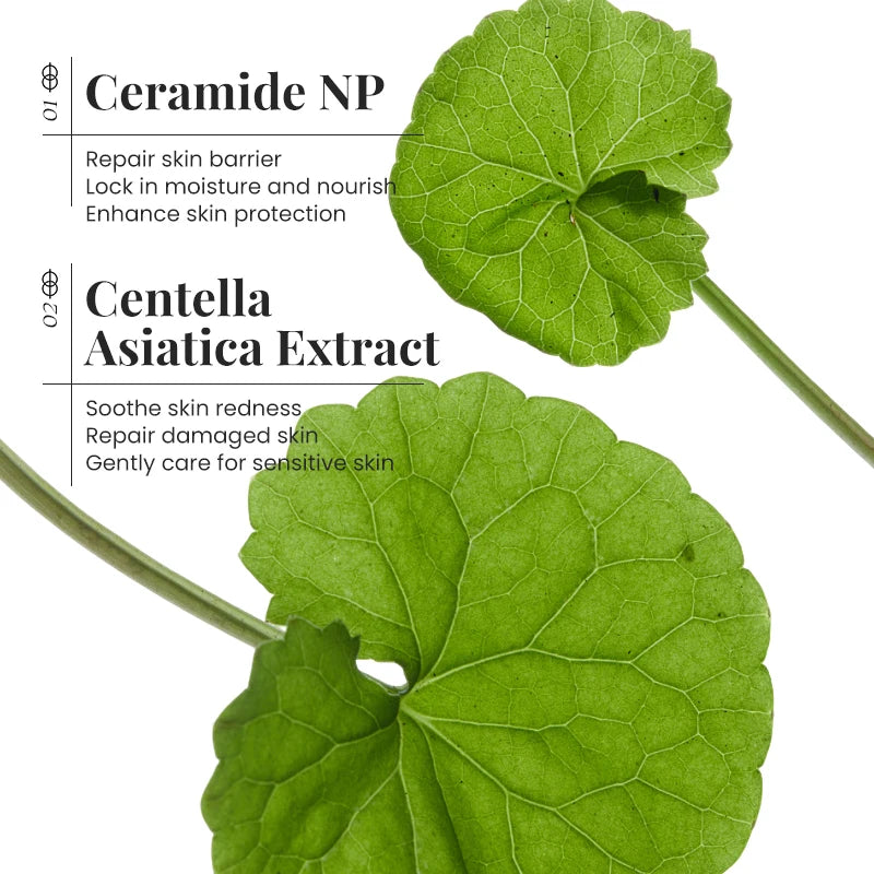 New Ceramide Moisturizing Face Cream Skin Barrier Smoothing Firming Deep Nourishing Face Body  Beauty Skin Care Korean Cosmetics