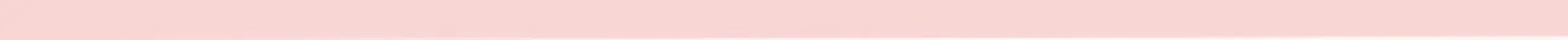 Sweetie Bear 4-Color Concealer Palette Flower Knows Face Makeup Set Spot Correcting Highlighting Contouring Beauty Makeup Tool