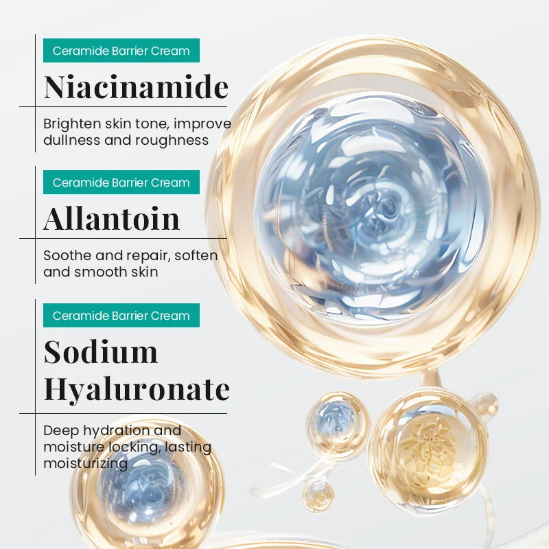 New Ceramide Moisturizing Face Cream Skin Barrier Smoothing Firming Deep Nourishing Face Body  Beauty Skin Care Korean Cosmetics