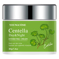 Centella Asiatica Hydrating Moisturizer - Soothing Face Cream for Even Skin Tone, Daily Hydration & Antioxidant Protection